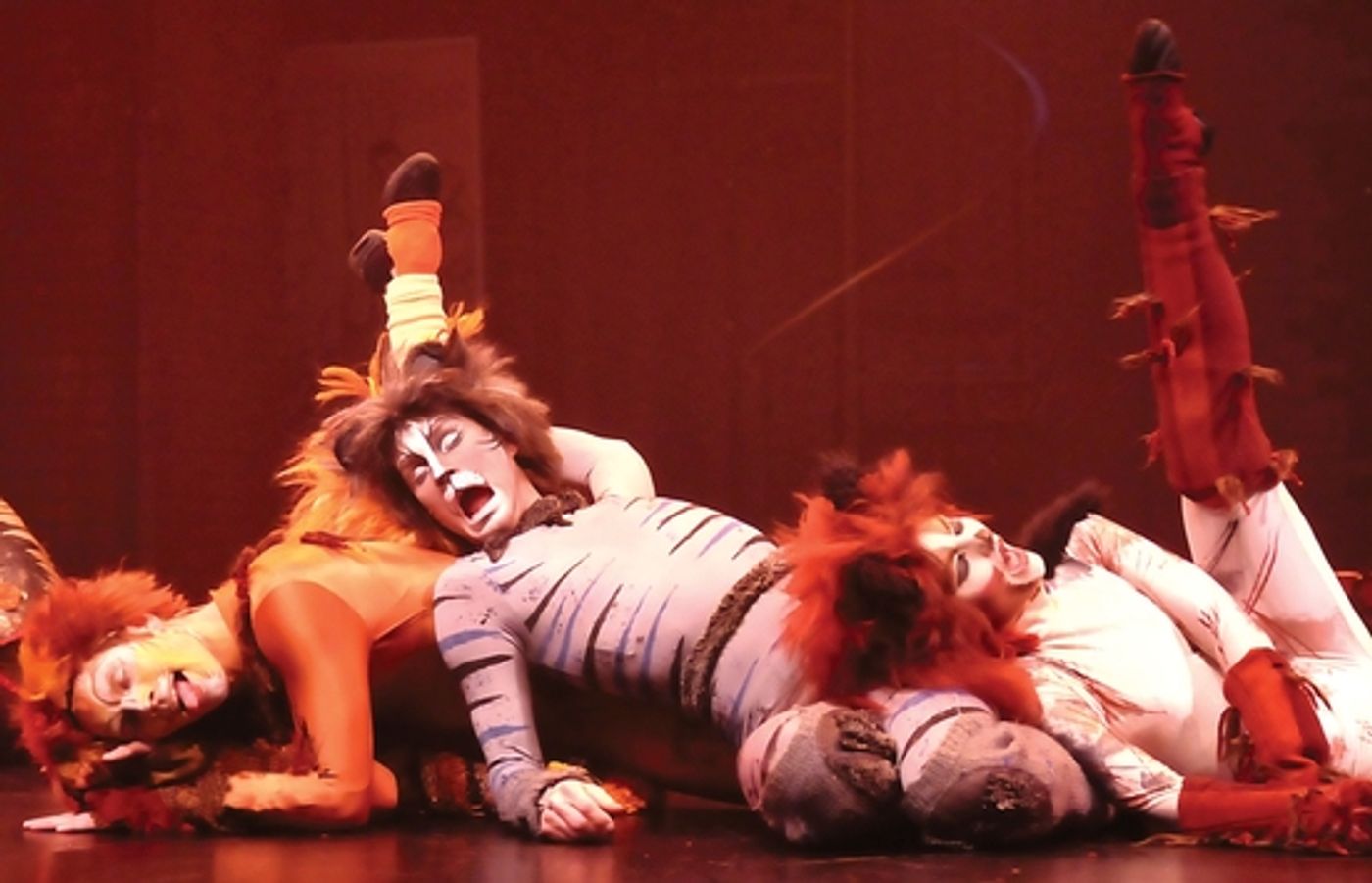 Photo Flash: CATS At Beef And Boards Dinner Theater  Image