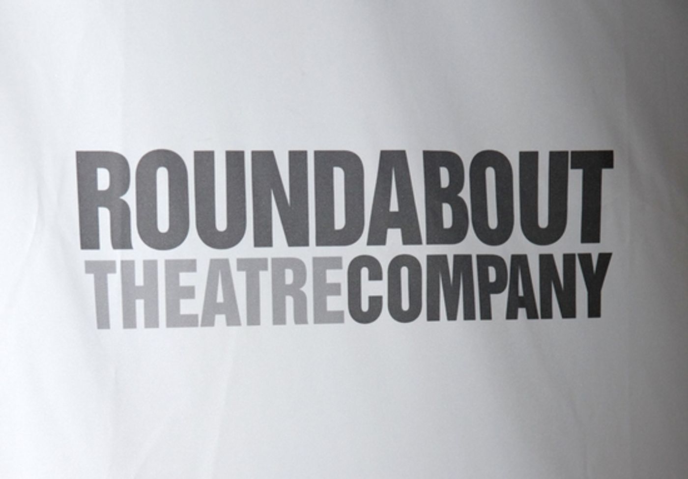 Photo Coverage: Roundabout Theatre Company Spring Gala Part II  Image