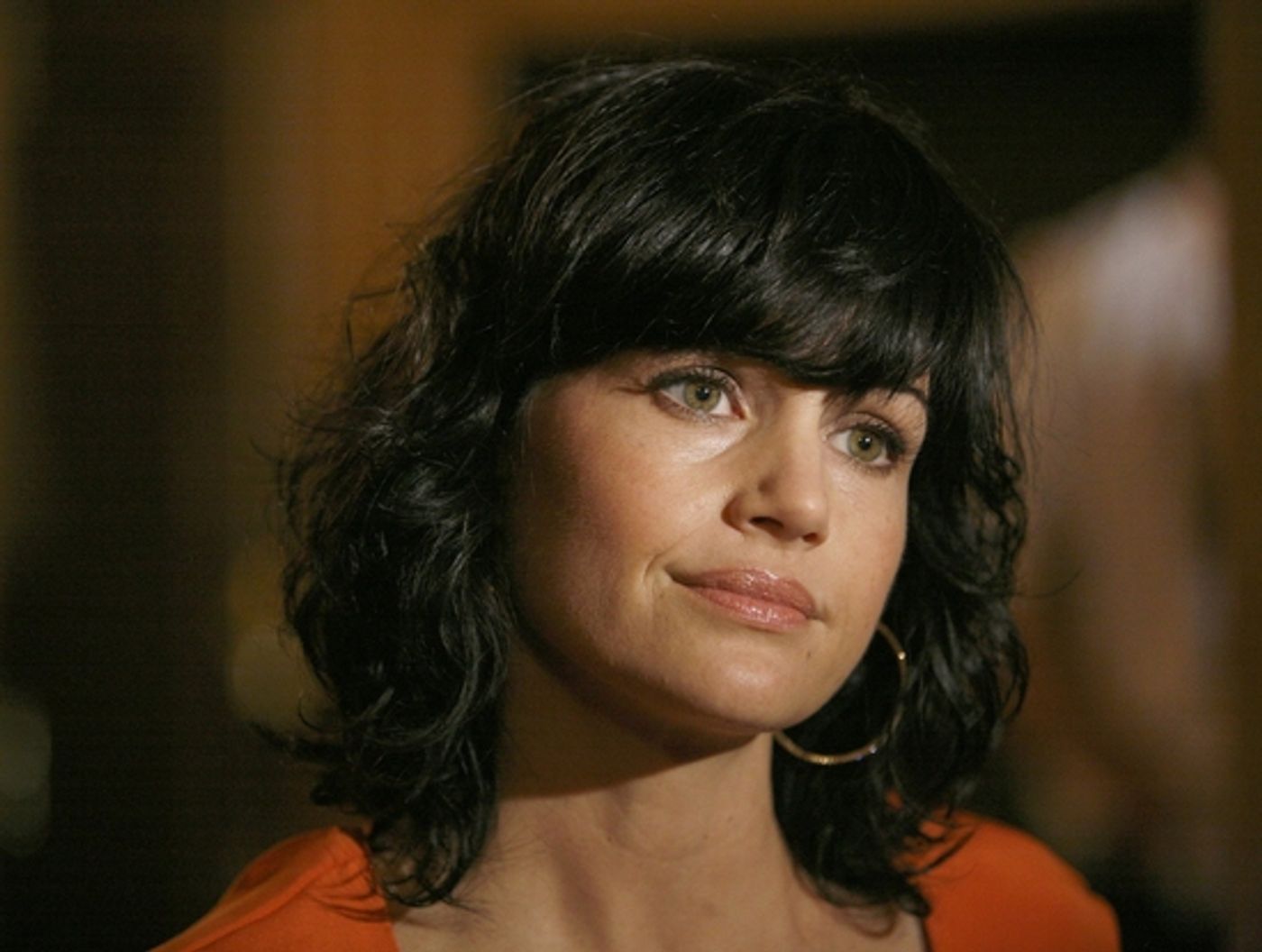 Photo Coverage: 'DESIRE UNDER THE ELMS' Meets the Press  Image