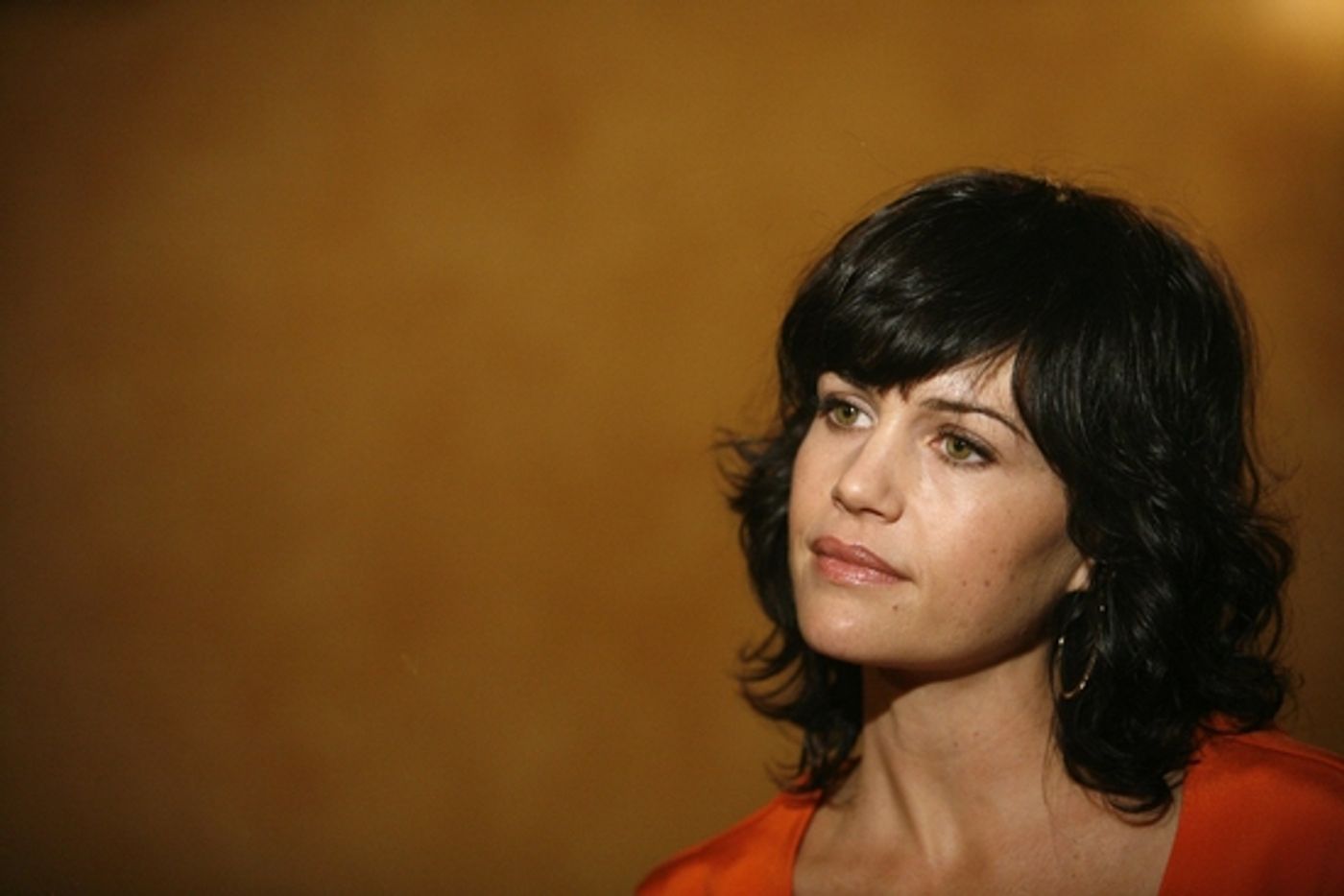 Photo Coverage: 'DESIRE UNDER THE ELMS' Meets the Press  Image