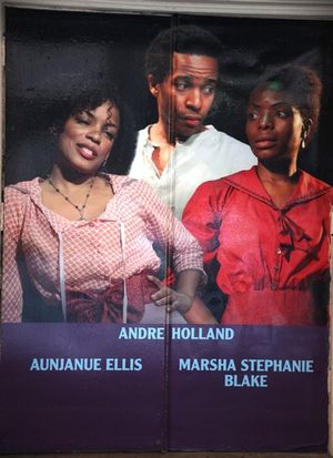 Aunjanue Ellis, Andre Holland and Marsha Stephanie Blake Photo