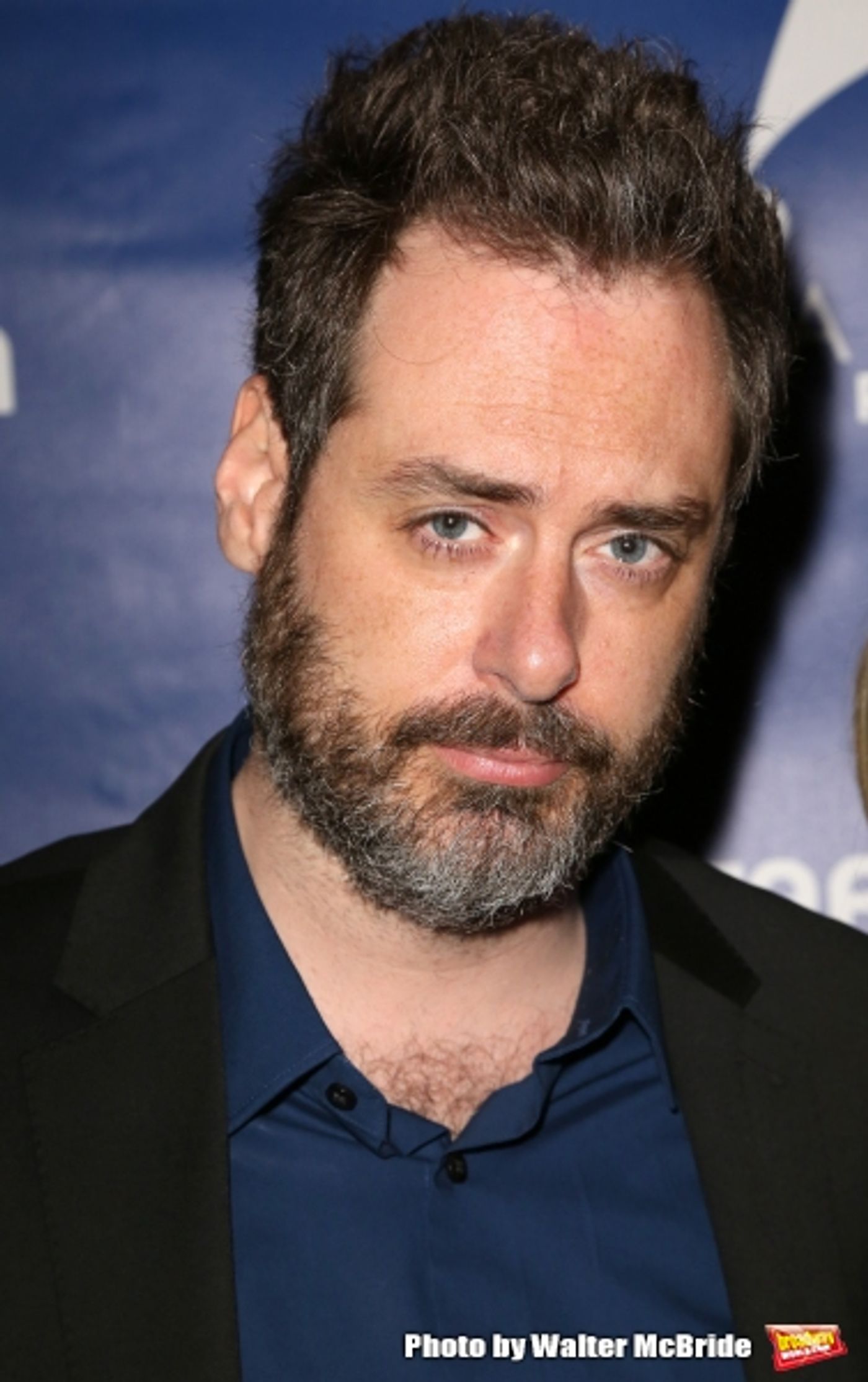 Photo Coverage: Meet the 2015 Drama Desk Nominees!  Image