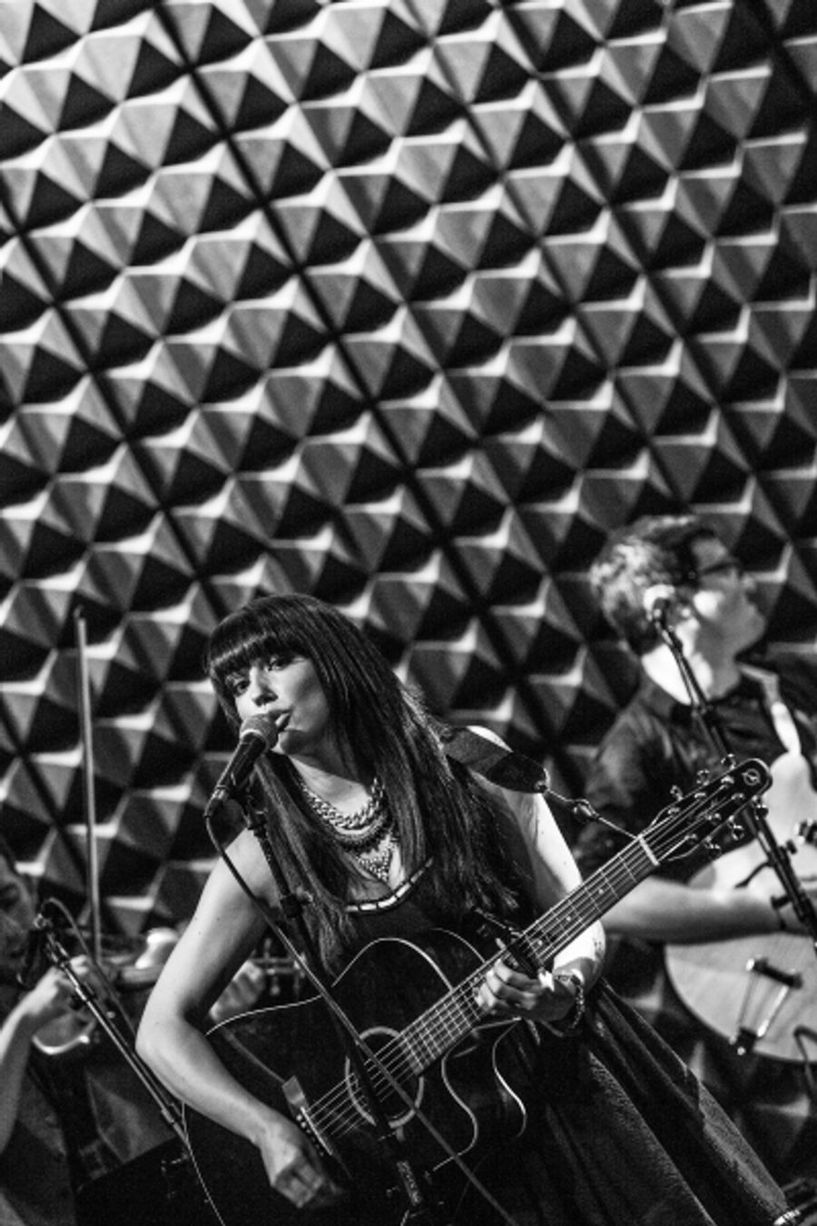Photo Coverage: Rachel Potter Launches LIVE THE DREAM Concert Tour at Joe's Pub! Image