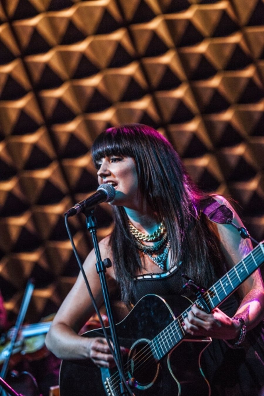 Photo Coverage: Rachel Potter Launches LIVE THE DREAM Concert Tour at Joe's Pub! Image