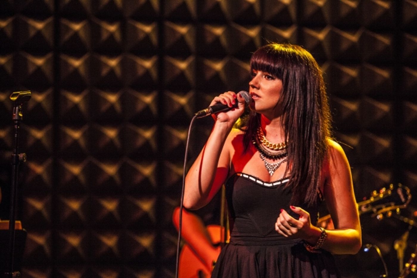 Photo Coverage: Rachel Potter Launches LIVE THE DREAM Concert Tour at Joe's Pub!  Image