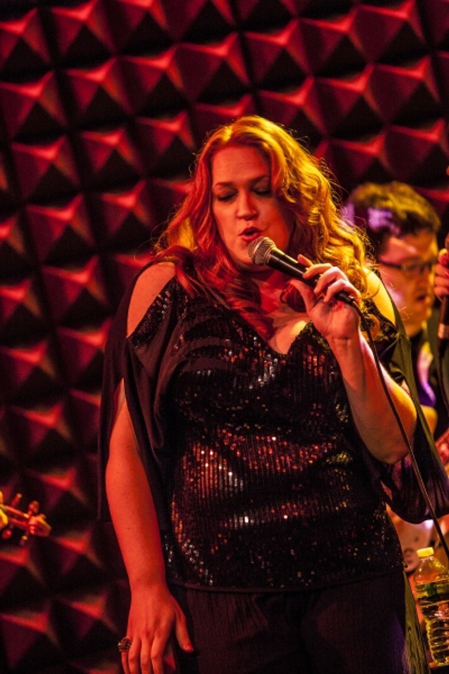 Photo Coverage: Rachel Potter Launches LIVE THE DREAM Concert Tour at Joe's Pub! Image