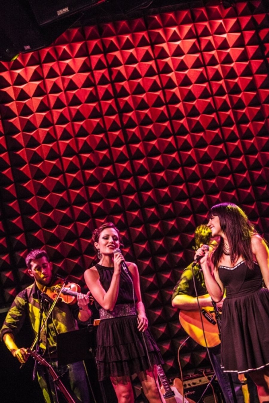 Photo Coverage: Rachel Potter Launches LIVE THE DREAM Concert Tour at Joe's Pub! Image