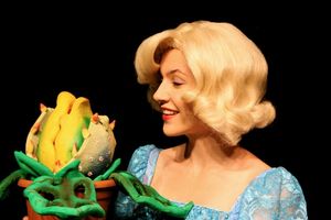 Carolyn Agan @ BroadwayWorld Carolyn Agan Photo