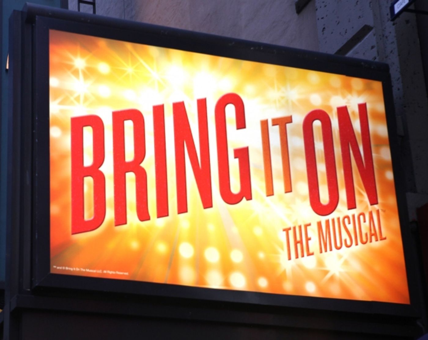 Photo Coverage: BRING IT ON Opening Night Red Carpet Stars! Image