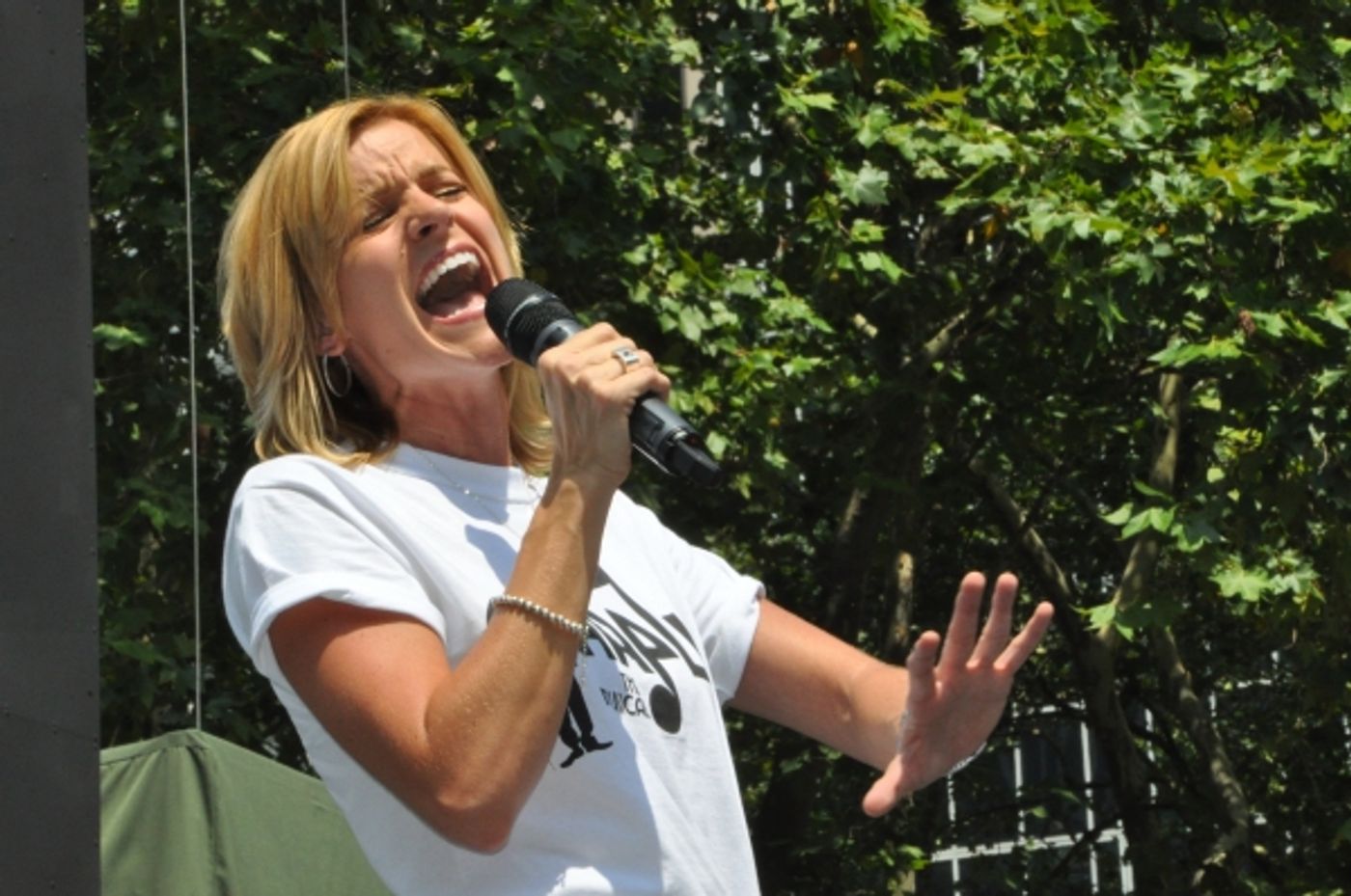 Photo Coverage: MAMMA MIA!, CHAPLIN, and More at Broadway In Bryant Park!  Image