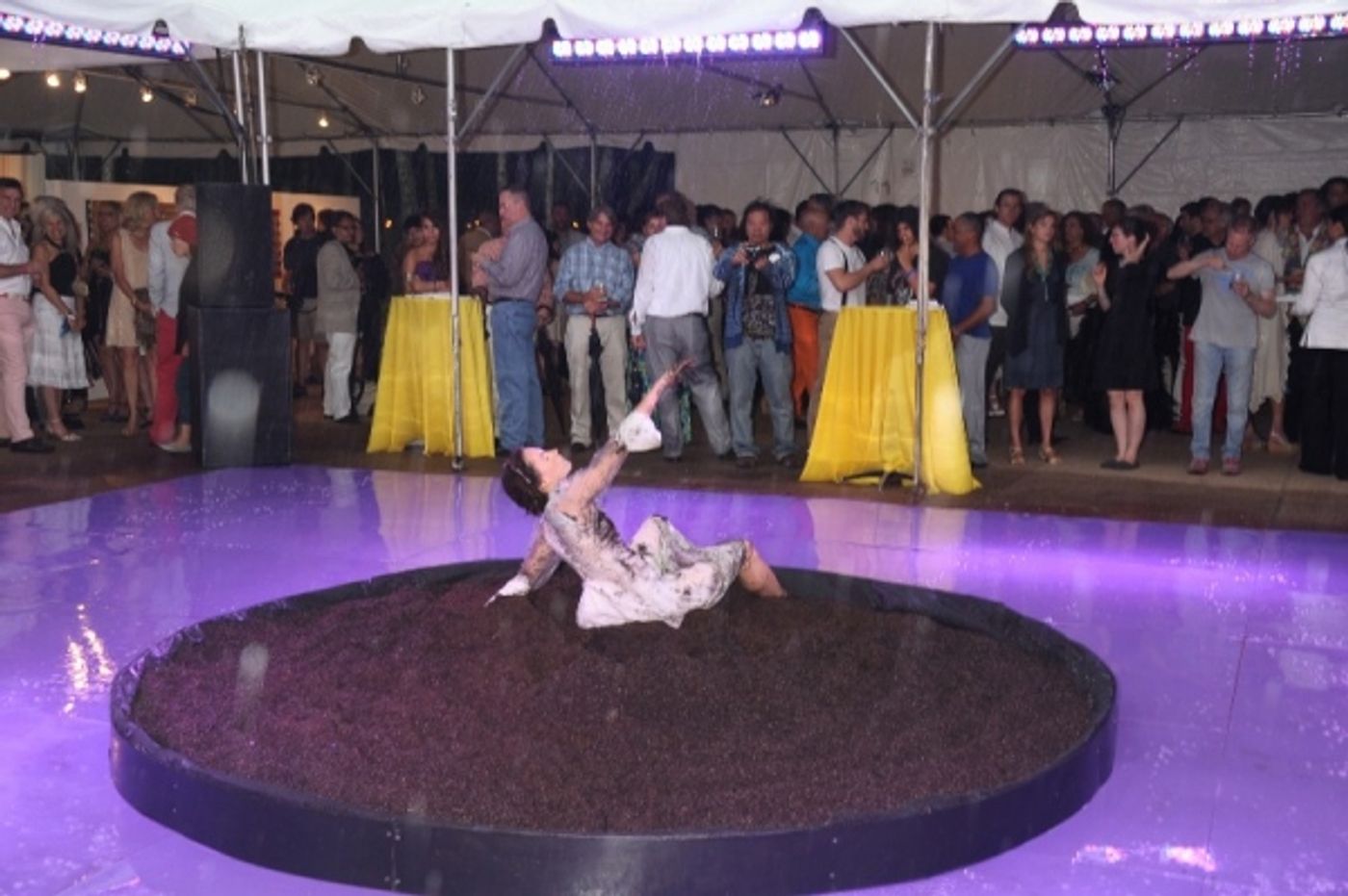 Photo Flash: Inside Watermill Center’s BIG BANG Benefit  Image