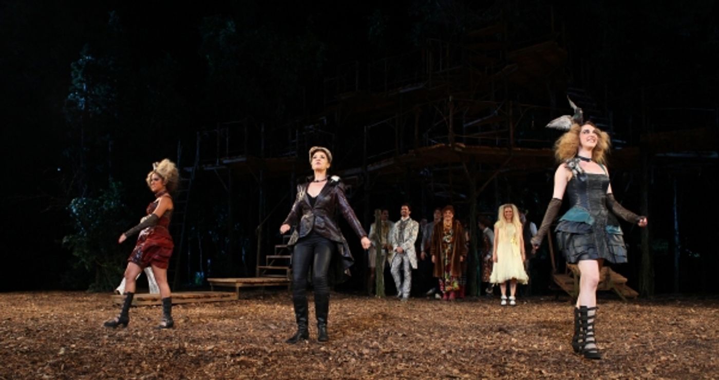 Photo Coverage: INTO THE WOODS Opening Night Curtain Call! Image
