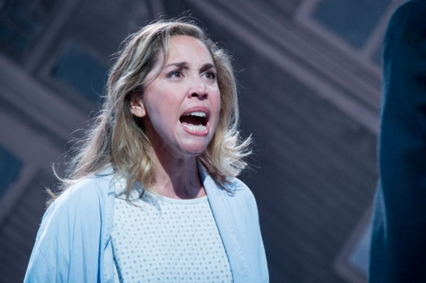 Photo Flash: Andréa Burns, Chris Hoch and More in Hangar Theatre's NEXT TO NORMAL  Image