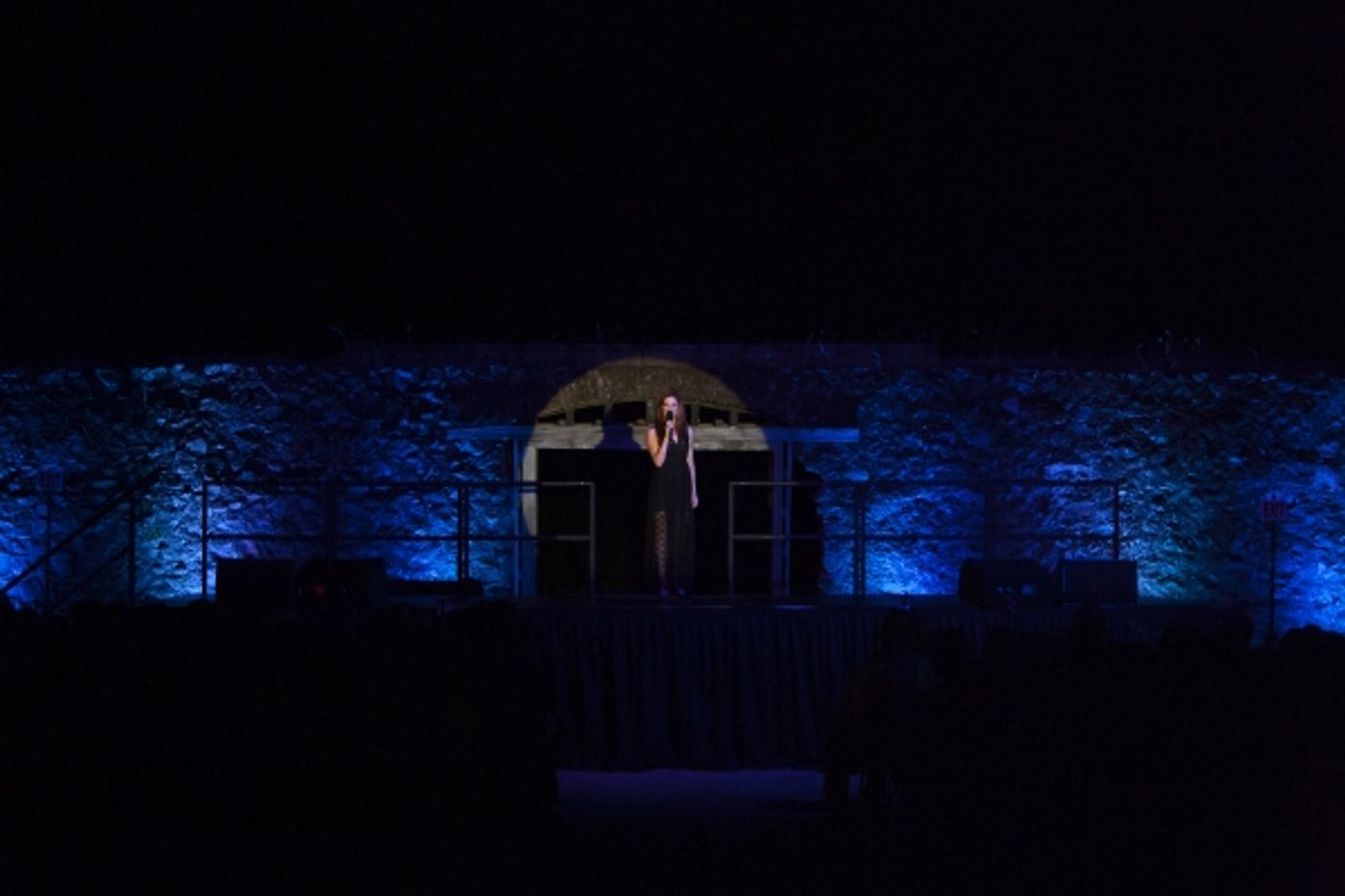 Photo Flash: First Look at Anneliese van Der Pol, Brooke Tansley and More in Broadway Under the Stars 'Fantastical Family Night'  Image