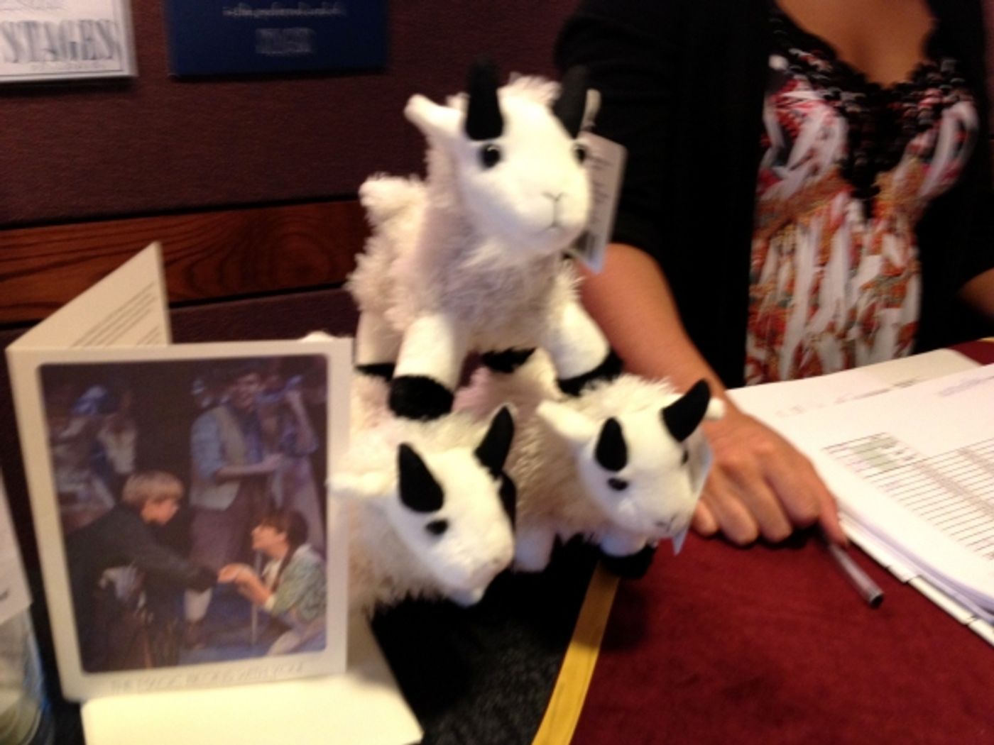 Photo Flash: SOUND OF MUSIC Photo Diary from STAGES St. Louis' Casey Erin Clark  Image