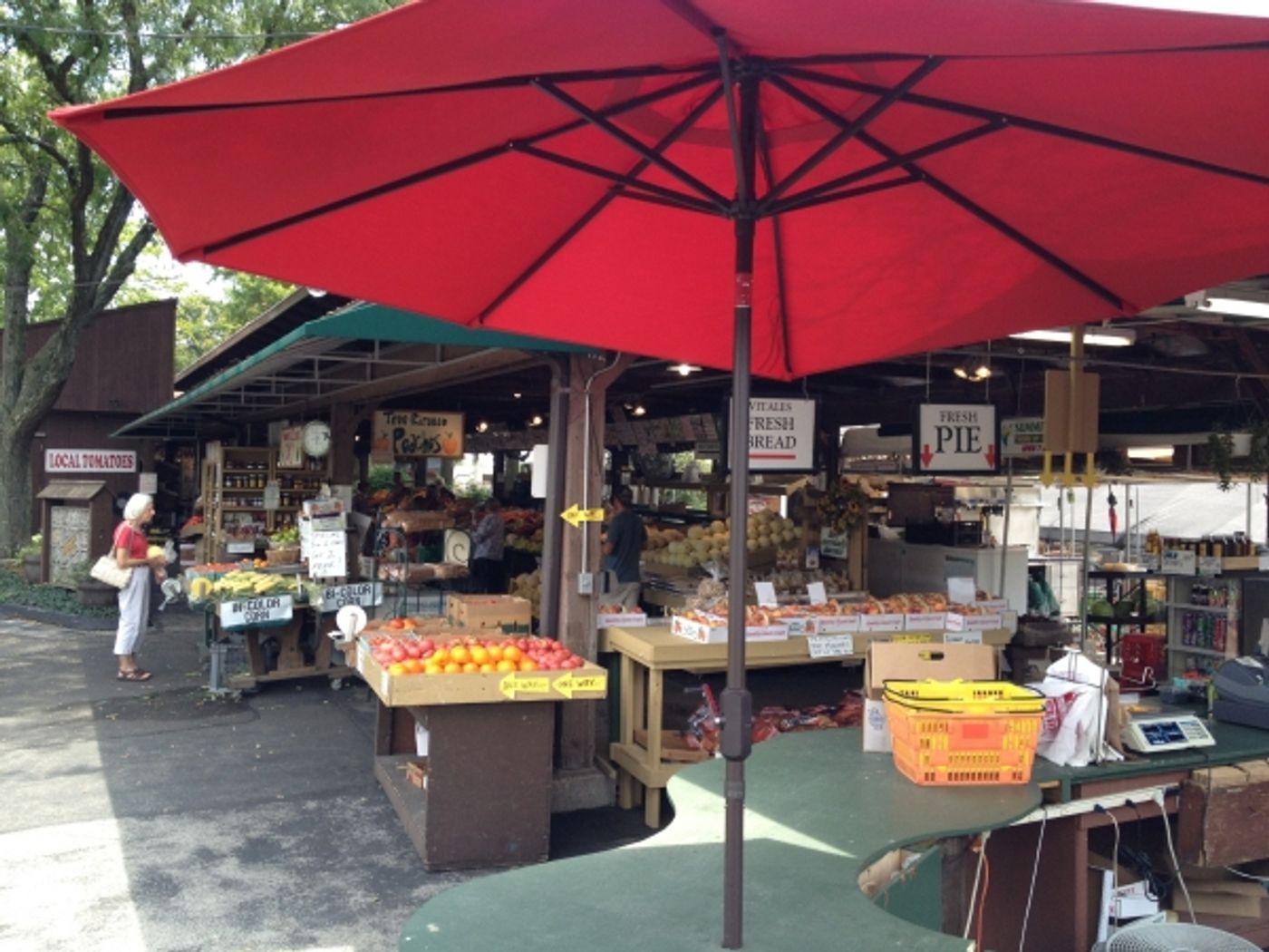 Photo Flash: SOUND OF MUSIC Photo Diary from STAGES St. Louis' Casey Erin Clark  Image