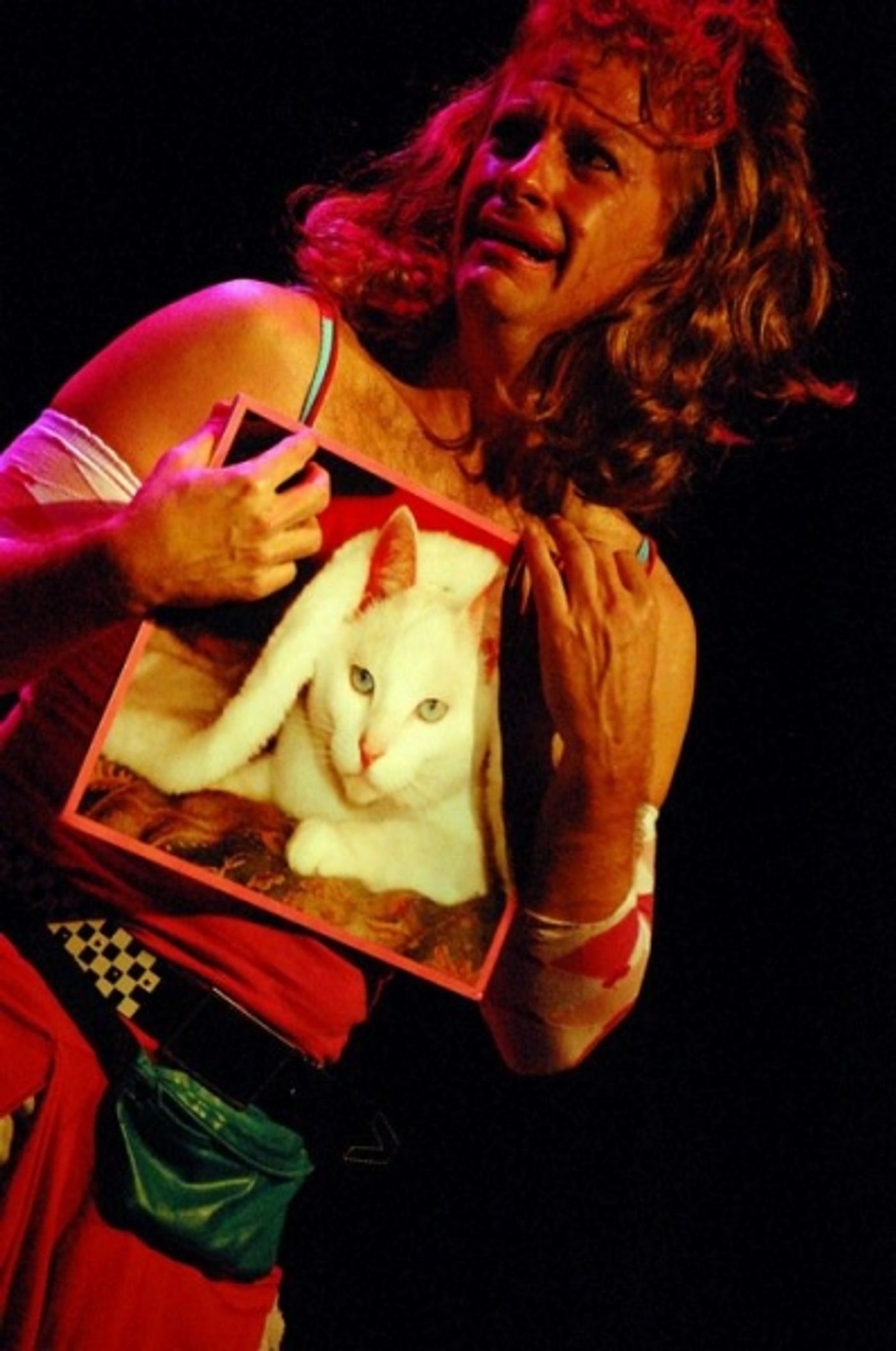 Photo Flash: First Look at LOVE, CONNIE, Playing Provincetown's Afterglow Festival & NYC  Image