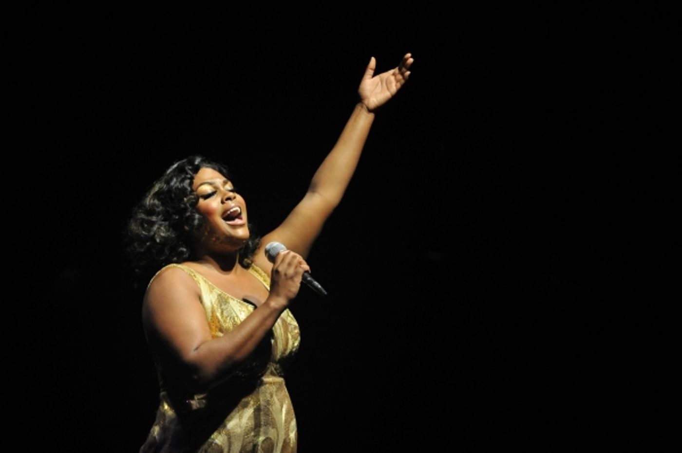 Photo Flash: Raena White and More in The Marriott Theatre's DREAMGIRLS Photo Flash: Raena White and More in The Marriott Theatre's DREAMGIRLS Image