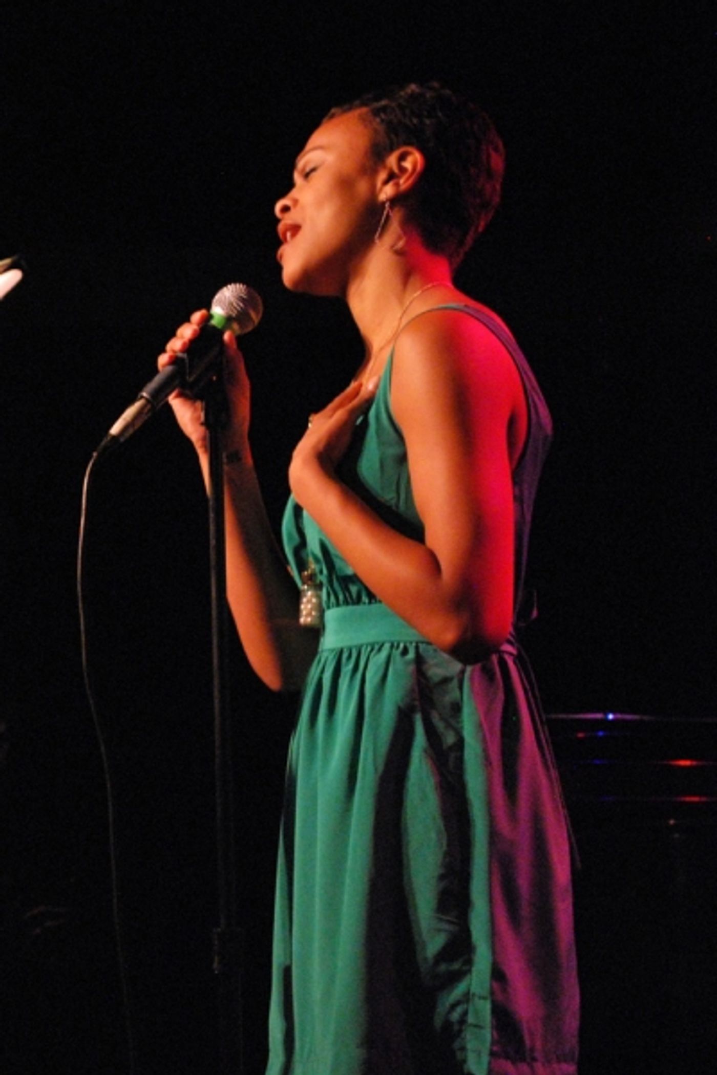 Photo Flash: Broadway Understudies Rock HALF HOUR Concert at Laurie Beechman  Image