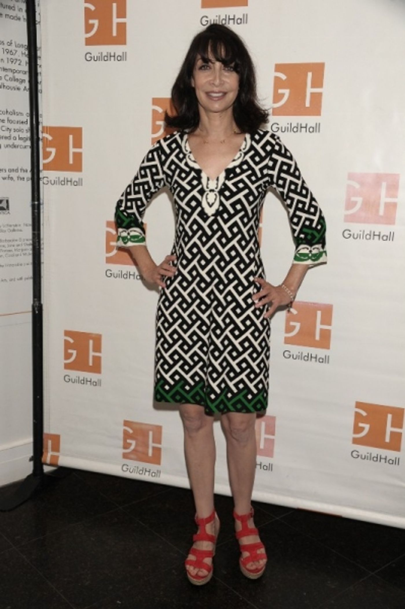 Photo Flash: Alec Baldwin, Illeana Douglas and More at Guild Hall's CELEBRITY AUTOBIOGRAPHY  Image