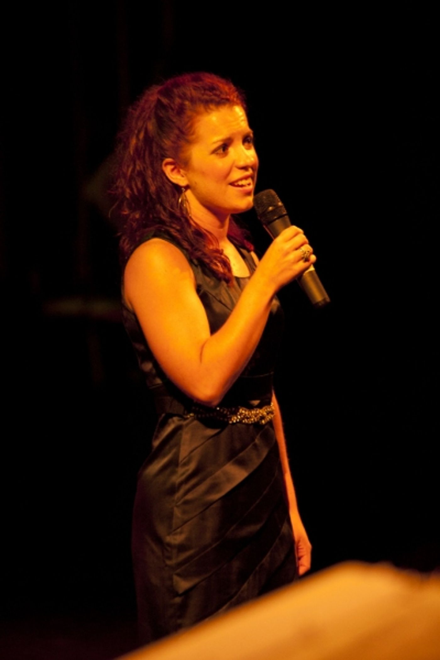 Photo Coverage: The 2013 First Night Honors Gala Concert  Image