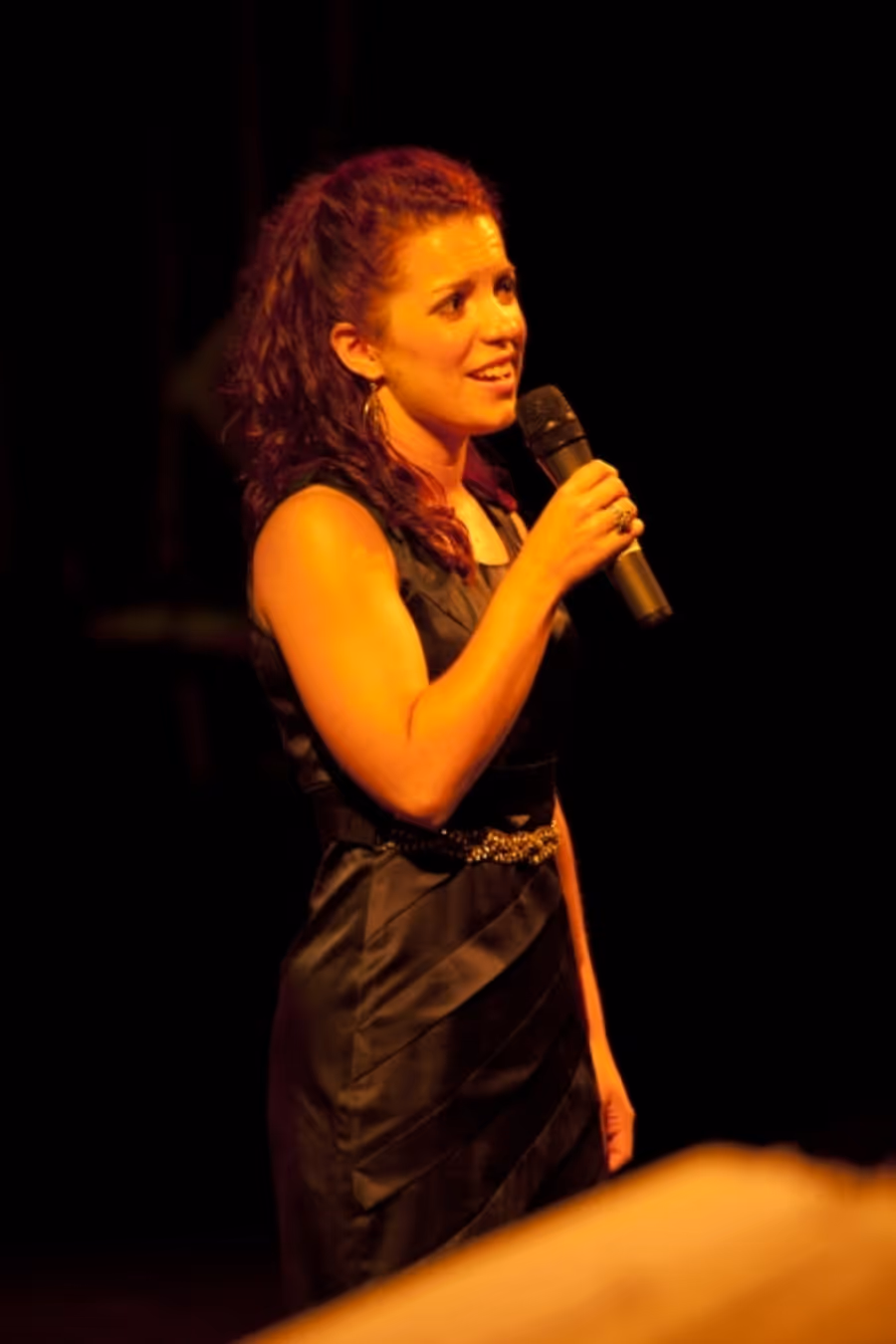 Photo Coverage: The 2013 First Night Honors Gala Concert Image