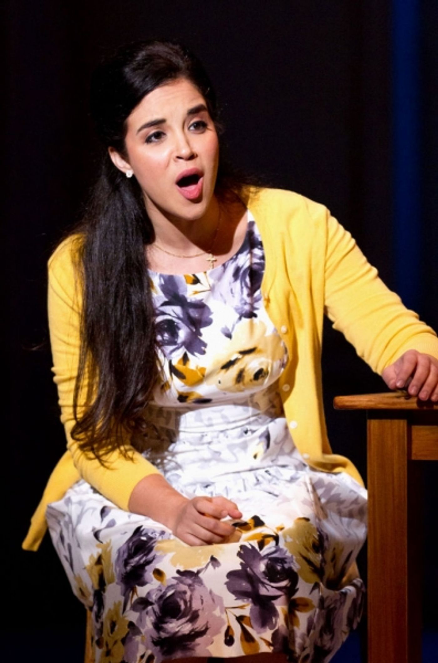 Photo Flash: Complete Photos of Walnut Street Theatre's LOVE STORY, The Musical - Will Reynolds, Alexandra Silber & More!  Image