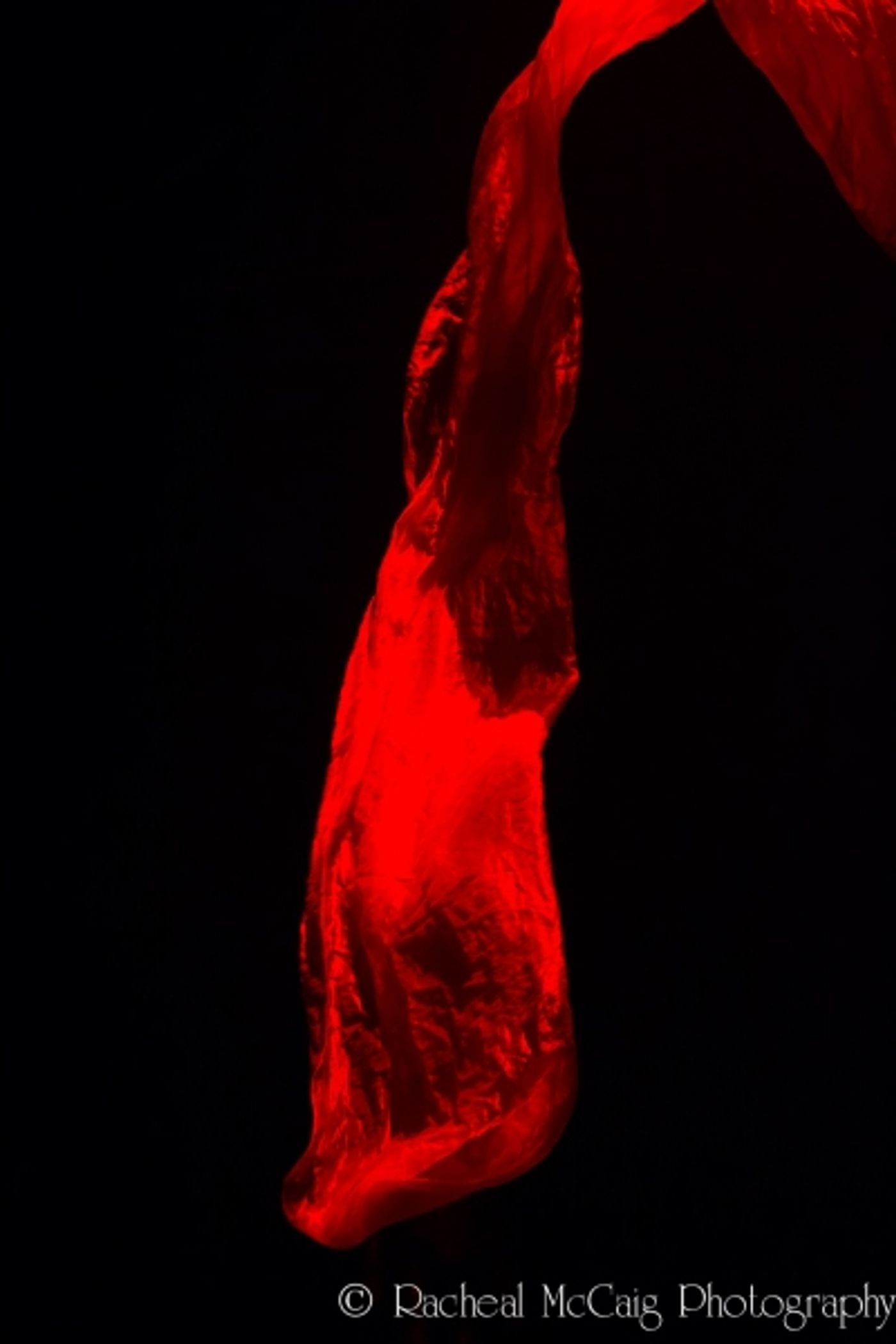 Photo Coverage: Cirque du Soleil's AMALUNA Opens in Toronto!  Image