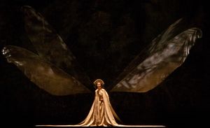  Ballet: MADAME BUTTERFLY. Choreographer: Stanton Welch. Dancer: Amy Fote. Photo