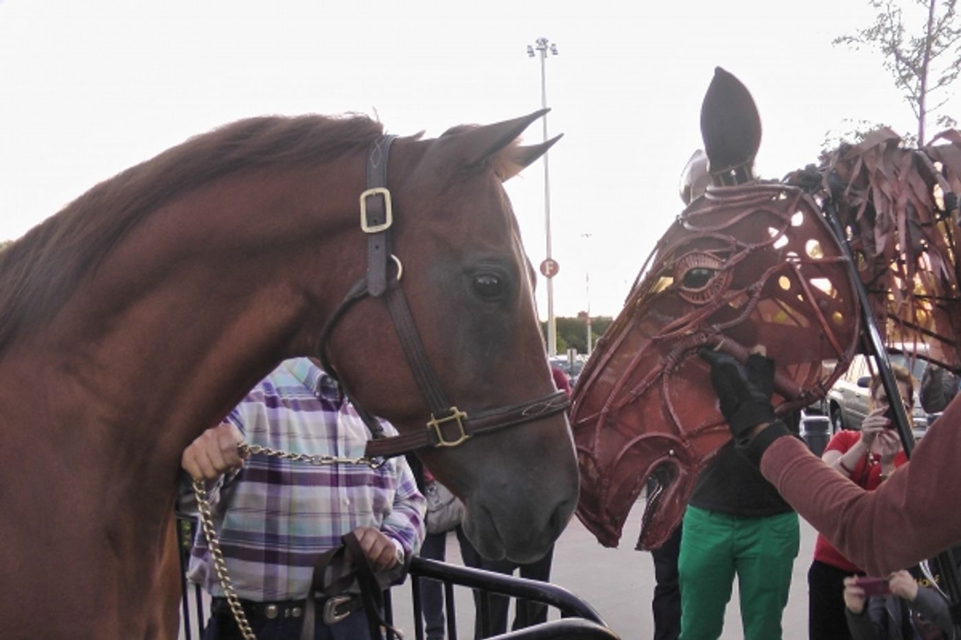 Photo Flash: WAR HORSE Cast Makes Appearance at Citi Field!  Image