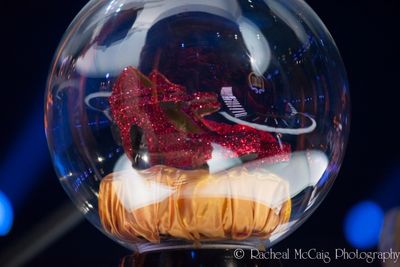  The Ruby Slippers Photo