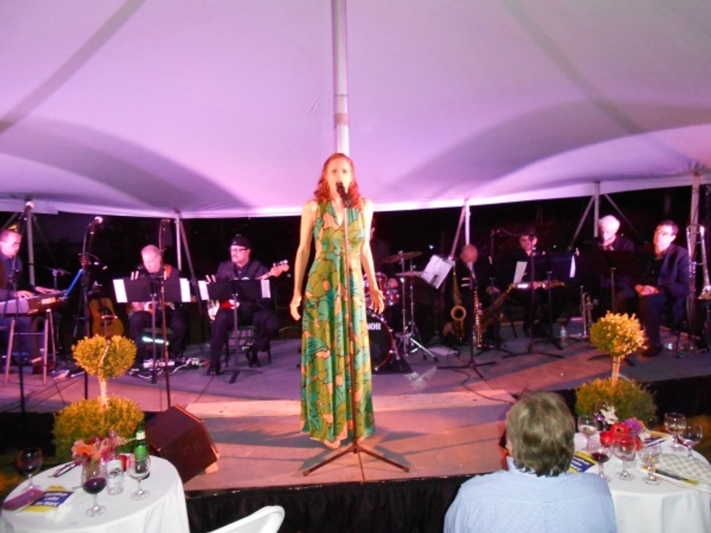 Photo Flash: Jonathan Brielle, Ken Prymus, Jessica Burrows and More at BROADWAY UNDER THE STARS Gala  Image