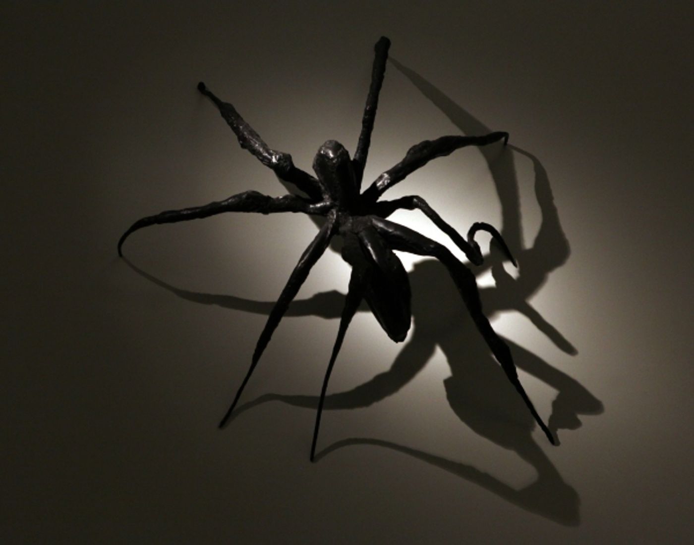 Photo Coverage: SPIDER-MAN Cast Visits 'Spiders Alive!' Exhibit Photo Coverage: SPIDER-MAN Cast Visits 'Spiders Alive!' Exhibit Image