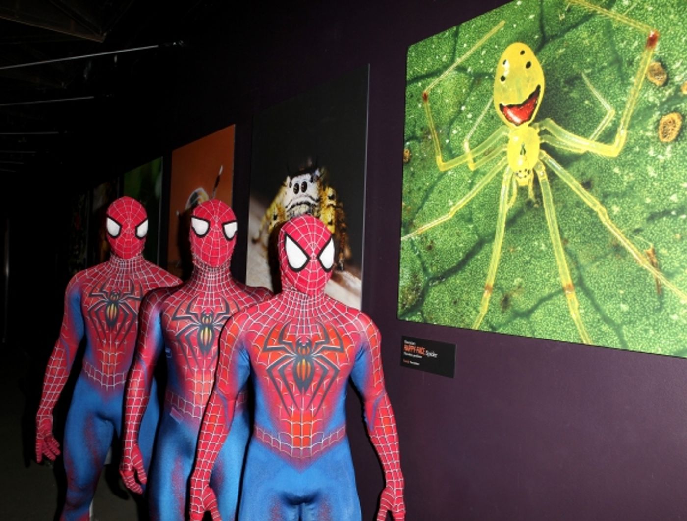 Photo Coverage: SPIDER-MAN Cast Visits 'Spiders Alive!' Exhibit Photo Coverage: SPIDER-MAN Cast Visits 'Spiders Alive!' Exhibit Image