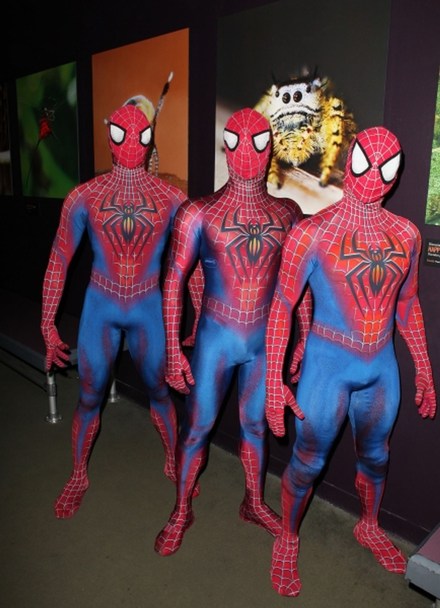 Photo Coverage: SPIDER-MAN Cast Visits 'Spiders Alive!' Exhibit Photo Coverage: SPIDER-MAN Cast Visits 'Spiders Alive!' Exhibit Image