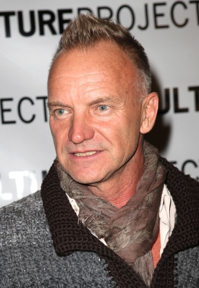 Sting  Photo