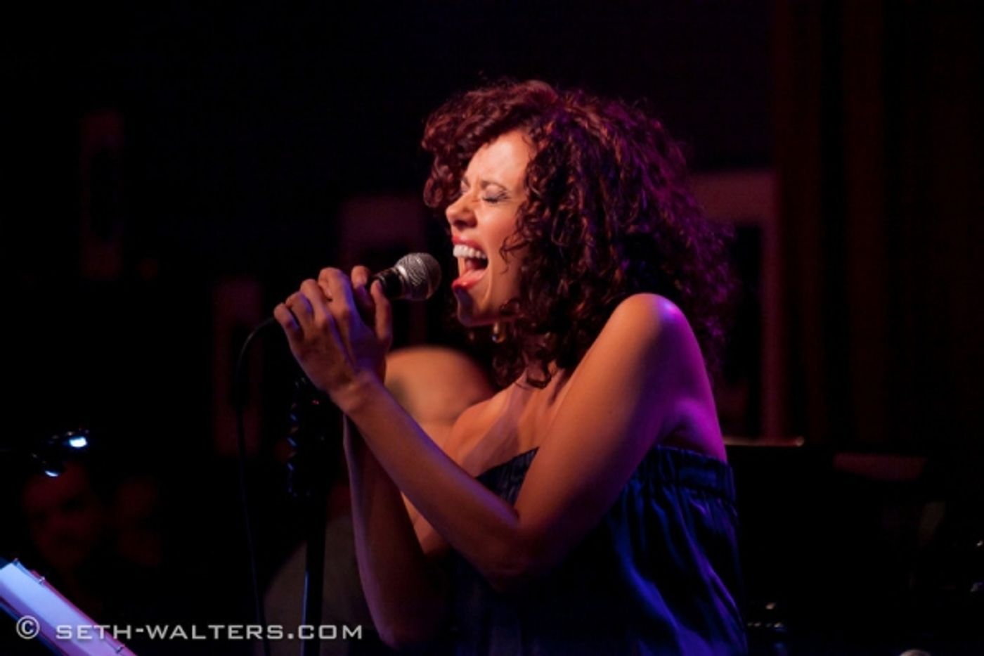 Photo Flash: Janet Dacal, James Barbour and Karen Mason Join Frank Wildhorn for FRANK & FRIENDS at Birdland  Image