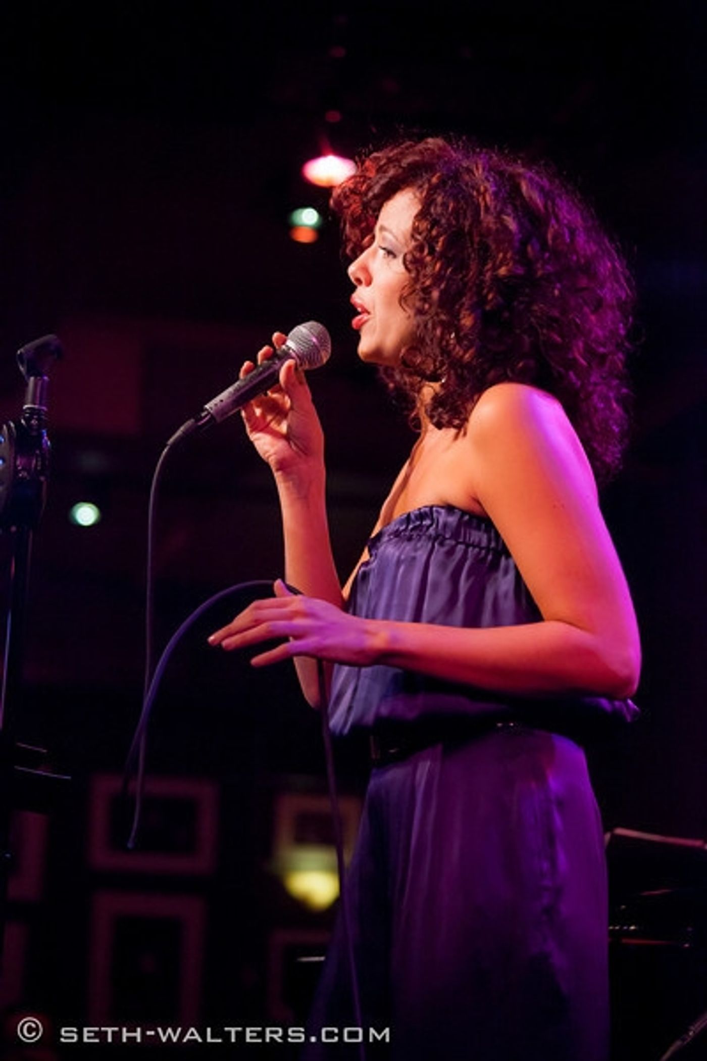 Photo Flash: Janet Dacal, James Barbour and Karen Mason Join Frank Wildhorn for FRANK & FRIENDS at Birdland  Image