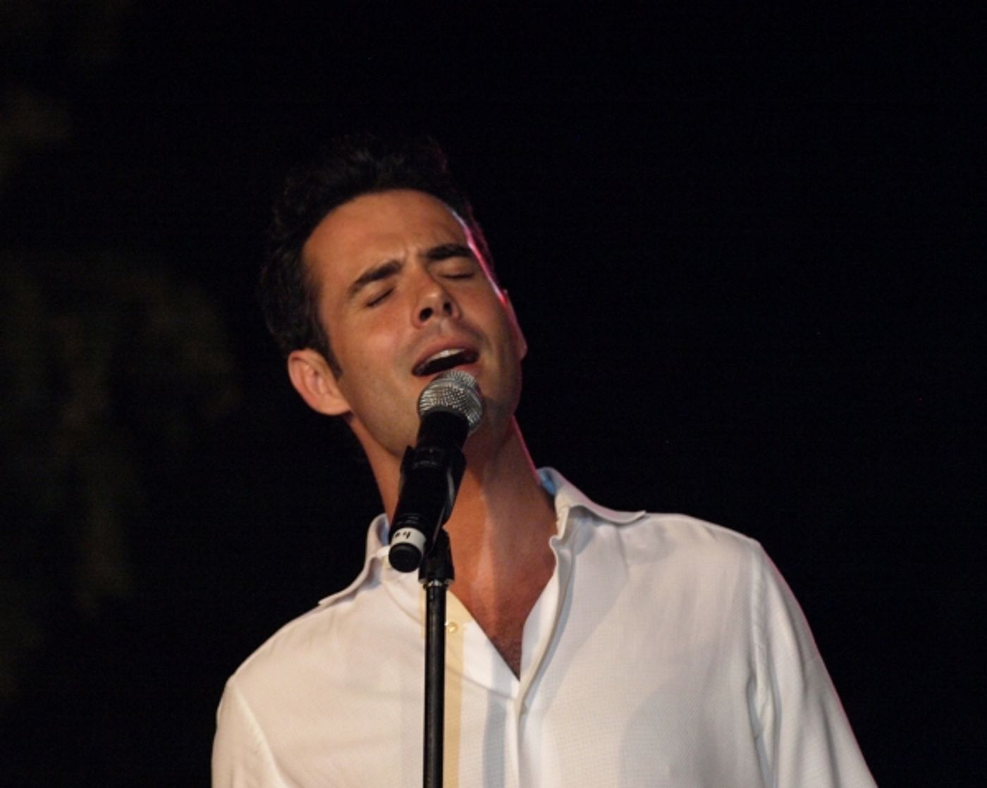 Photo Flash: Anneliese van Der Pol, Arielle Jacobs, Danny Gurwin & More at BROADWAY COMES TO ANAHEIM  Image