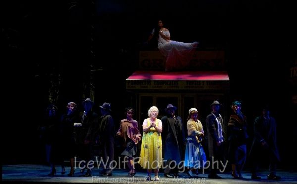 Debra Cardona and Company Photo