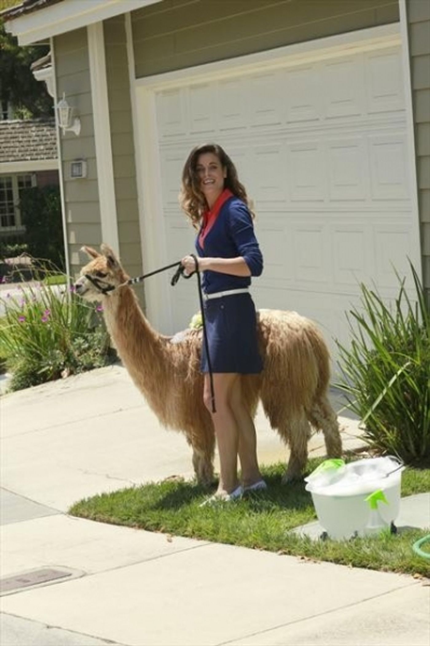 Photo Coverage: Sneak Peak at THE NEIGHBORS on 10/3  Image