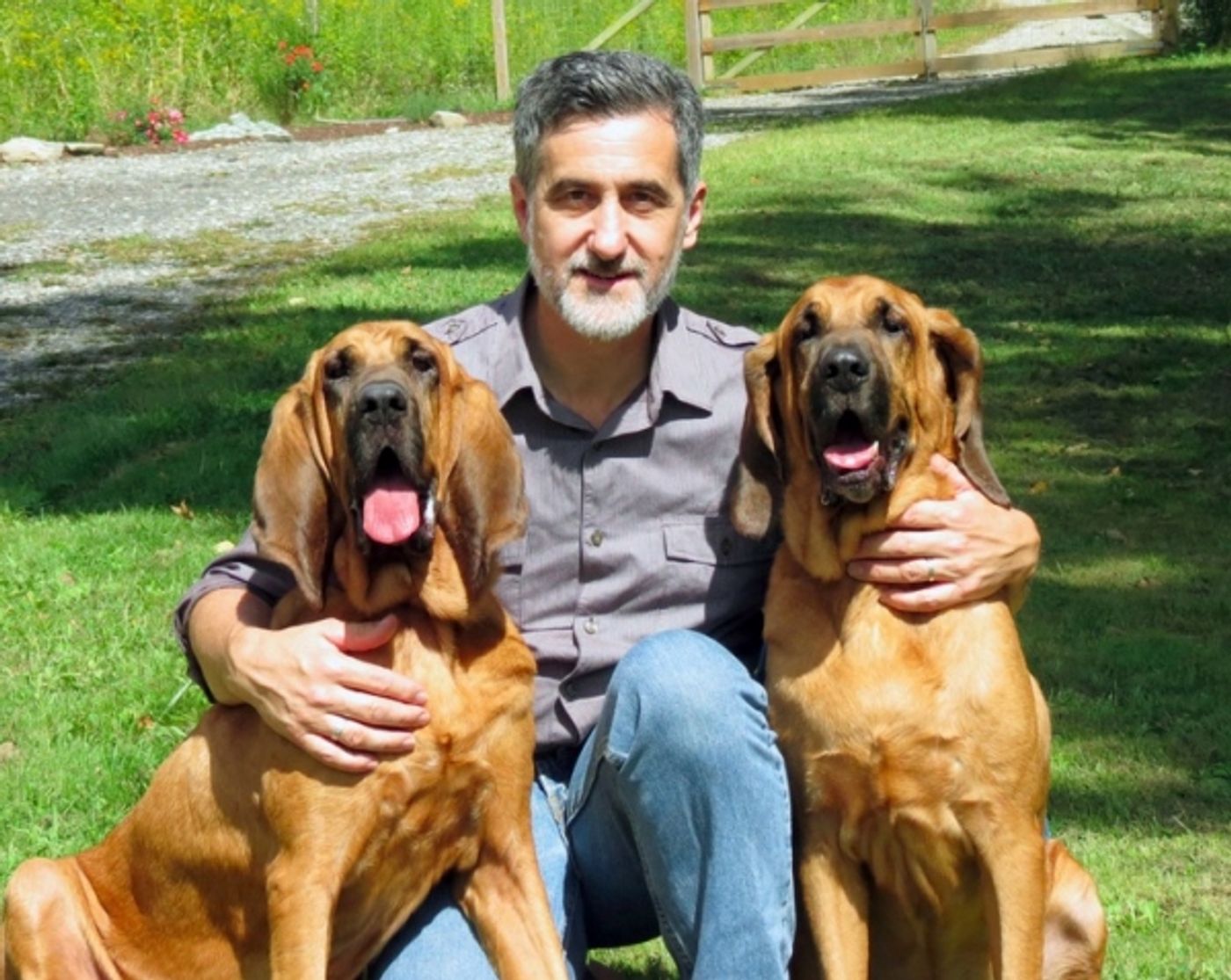 Photo Flash: A CHRISTMAS STORY Will Feature Rescued Bloodhounds Pete and Lily, Trained by William Berloni  Image