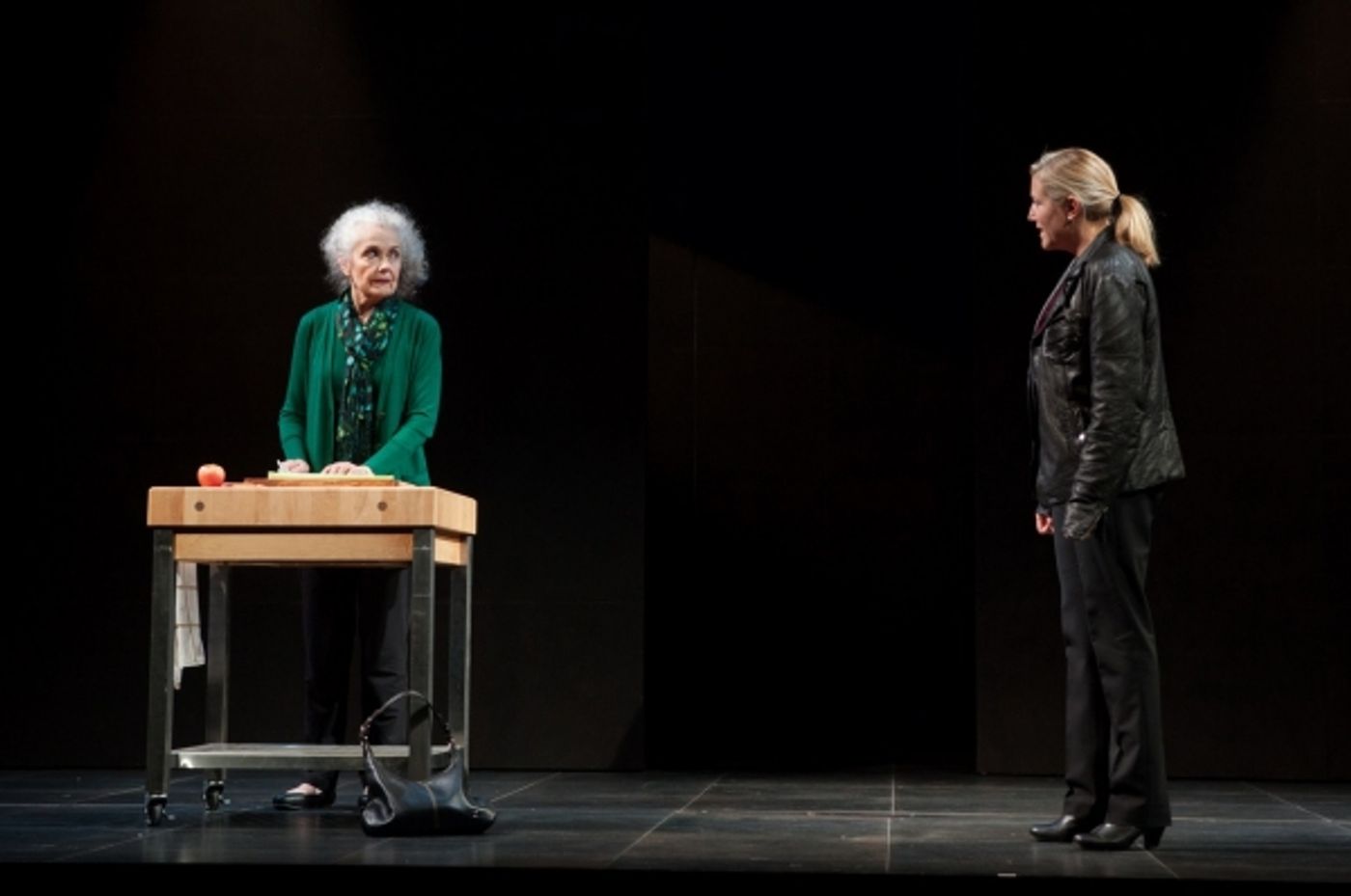 Photo Flash: First Look at Atlantic Theater Company's HARPER REGAN  Image