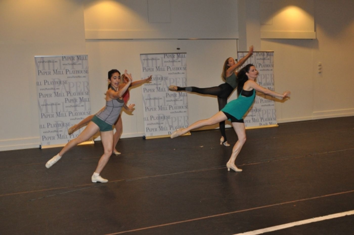 Photo Coverage: Paper Mill Playhouse's A CHORUS LINE Cast Meets the Press!  Image