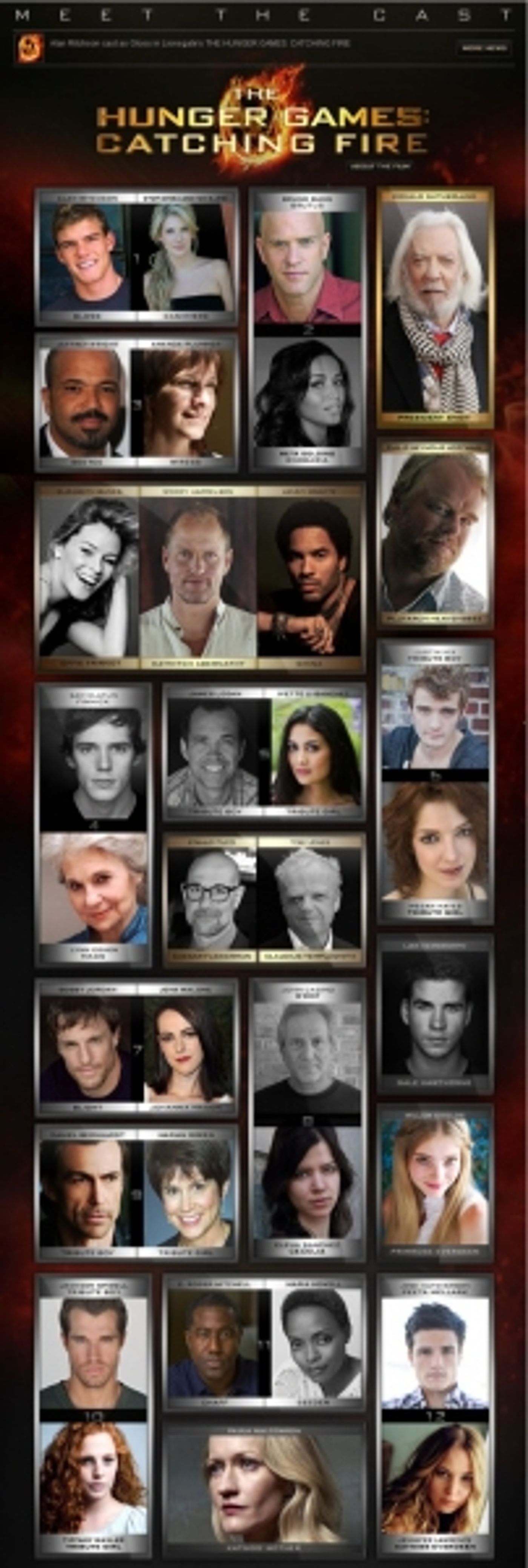 Photo Flash: CATCHING FIRE Completes Cast - Meet the Tributes!  Image