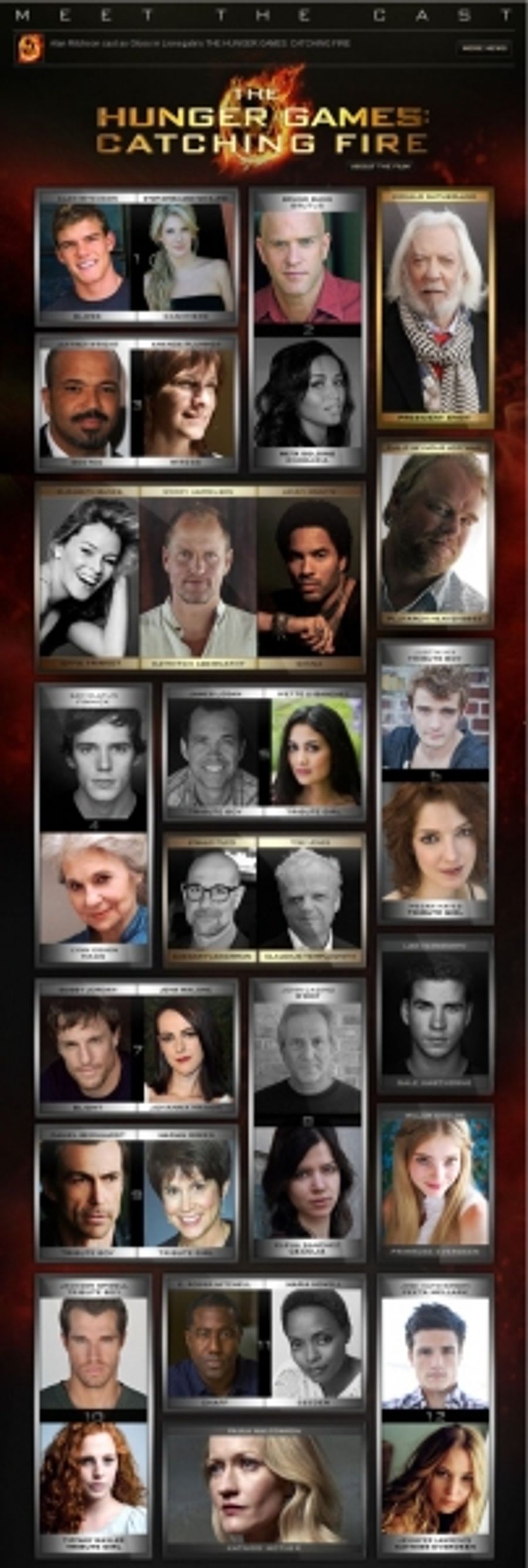 Photo Flash: CATCHING FIRE Completes Cast - Meet the Tributes! Image