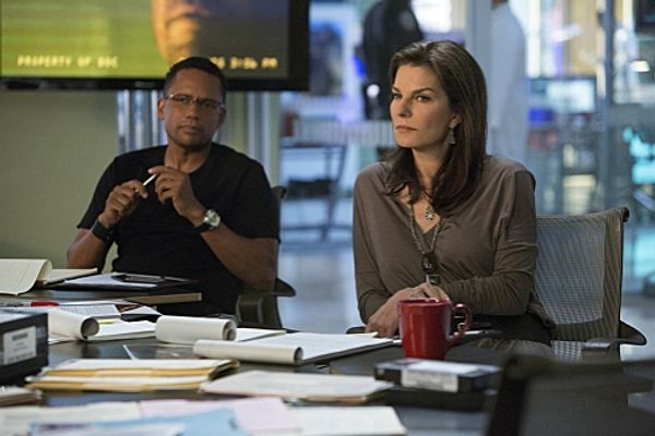 Hill Harper, Sela Ward Photo