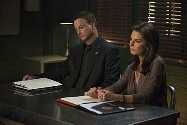 Gary Sinise, Sela Ward Photo