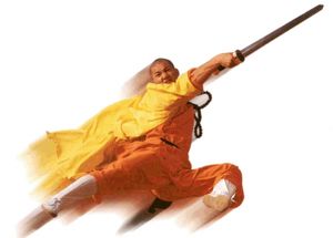 Shaolin Warriors Photo
