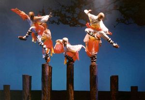 Shaolin Warriors Photo